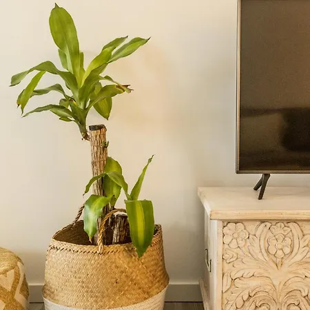 Clover House Apartamento