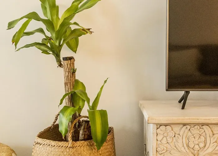 Clover House Appartement